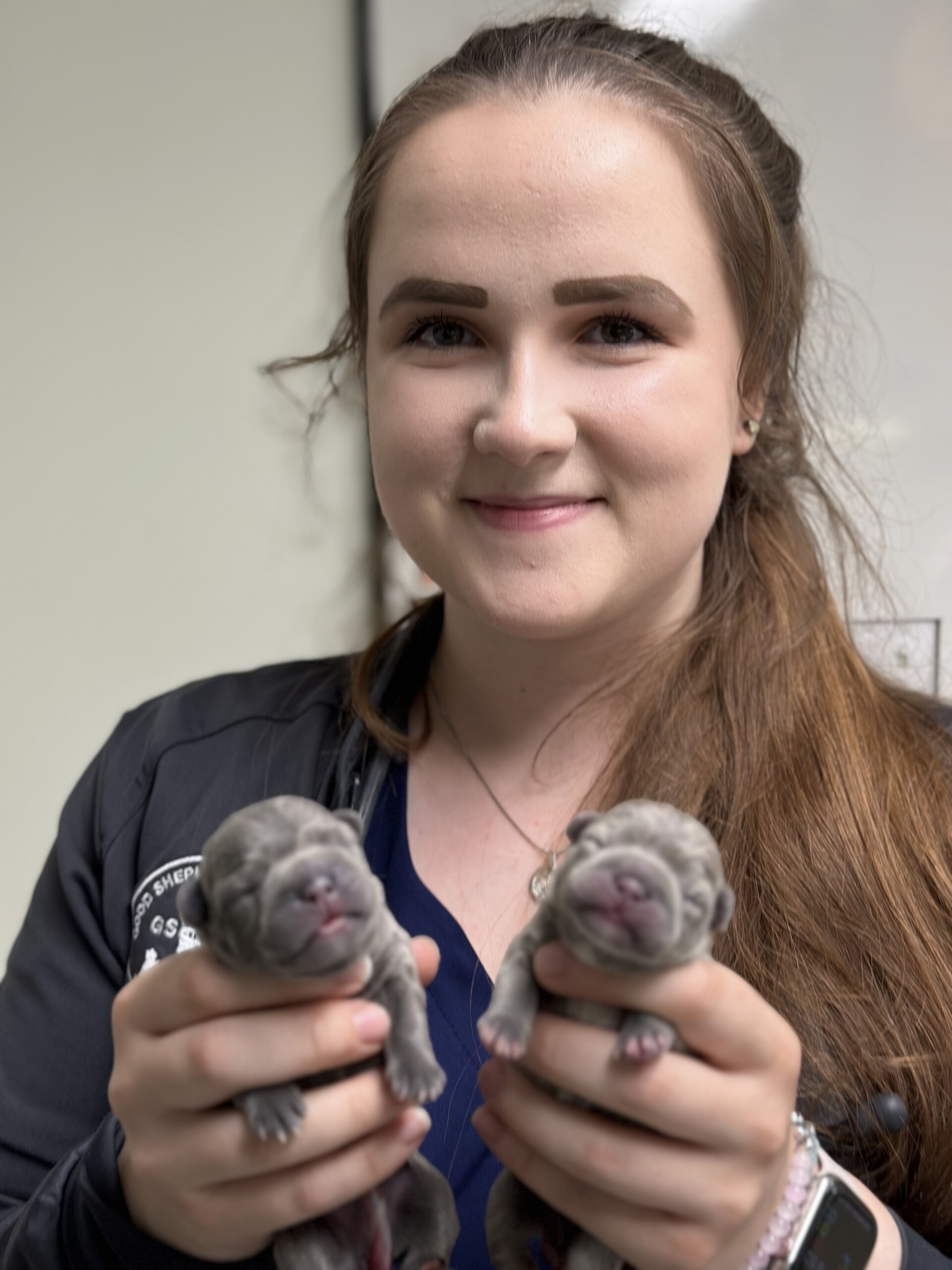 Kaitlyn Coit Good Shepherd Veterinary Hospital